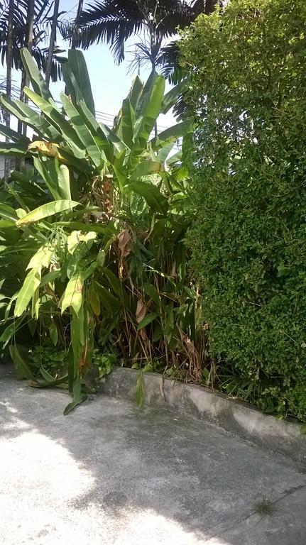 Baantonsai Garden Resort Patong Bagian luar foto